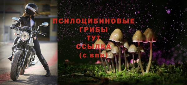 мескалин Бугульма